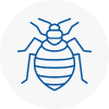 Bed Bug Extermination In Uppingham