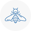Bee Nest Removal Uppingham