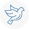 Bird Prevention Uppingham