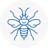 Uppingham Hornet Nest Removals
