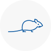 Mice Exterminators In Uppingham