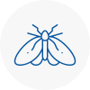 Moth Control Specialists In Uppingham