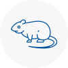 Rat Control Uppingham