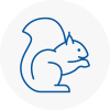 Uppingham Rodent Removals