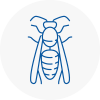 Uppingham Wasp Nest Removal